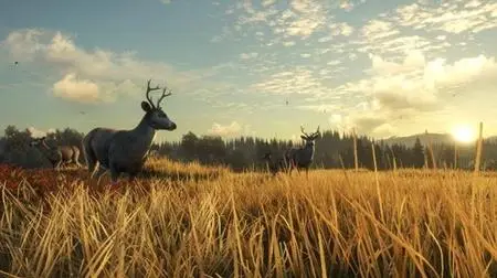 theHunter Call of the Wild 2019 Edition TruRACS (2019)