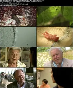 Brave New World With Stephen Hawking S01E06
