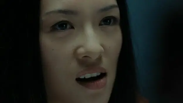 The Horsemen (2009) DVDRip