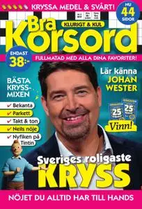 Bra Korsord – 09 april 2019