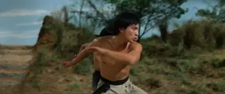 The New Shaolin Boxers / Cai li fa xiao zi (1976)