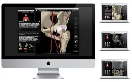 Hip Pro III with Animations v3.8 Mac OS X