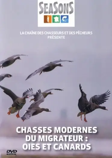 Chasses Modernes Du Migrateur Oies Et Canar