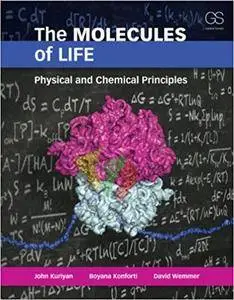 The Molecules of Life: Physical and Chemical Principles (Repost)