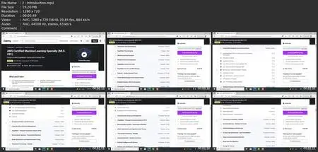 Aws Certified Machine Learning Specialty Mls-C01 [2023]