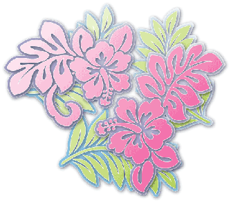 Hibiscus Vector Image