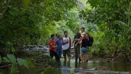 BBC - In Search of the Lost Girl (2018)