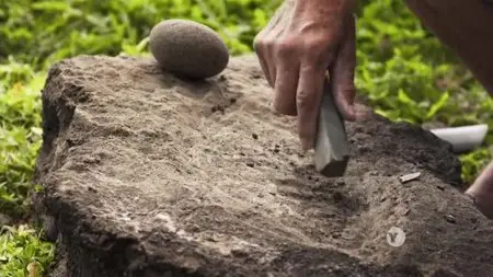 PBS - NOVA: Mystery of Easter Island (2012)