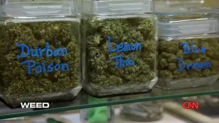 CNN - Weed: Sanjay Gupta Reports (2013)