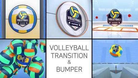 Volleyball Logo Transition & Bumper 48021862