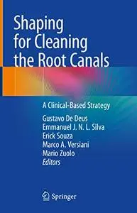 Shaping for Cleaning the Root Canals: A Clinical-Based Strategy