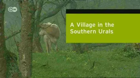 A village in the southern Urals (2016)