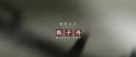 Ip Man (2008)