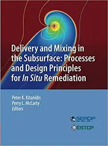 Delivery and Mixing in the Subsurface: Processes and Design Principles for In Situ Remediation (Repost)