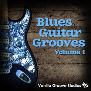 Vanilla Groove Studios Blues Guitar Grooves Vol 1 MULTiFORMAT