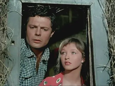 Дни любви / Giorni d'amore / Days of Love (1954, DVD5 + DVDRip)