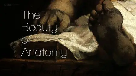 BBC - The Beauty of Anatomy (2014)