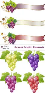 Vectors - Grapes Bright Elements