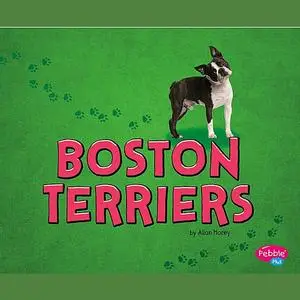 «Boston Terriers» by Allan Morey