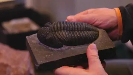 CuriosityStream TV - Breakthrough: Recovering from Extinction (2019)