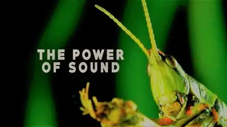 M31 Medios - The Power of Sound (2019)