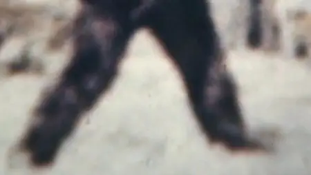 History Channel MonsterQuest Bigfoot