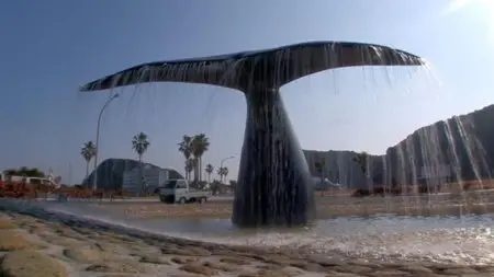 Jim Clark Production - The Cove (2011)