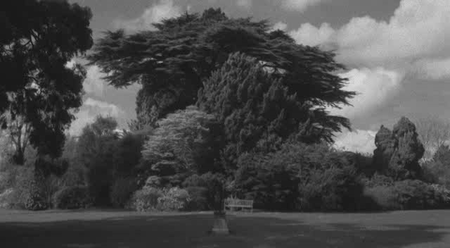 Patience (After Sebald) (2012)