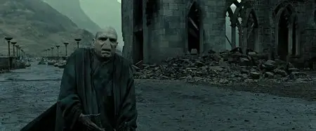 Harry Potter and the Deathly Hallows: Part 2 (2011)