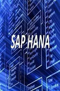 SAP Hanna, the game changer: a complete and comprehensive guide on SAP Hanna
