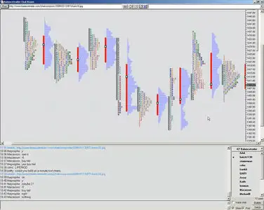 Balancetrader - Swing and Day Trading Market Profile Education Course