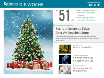 Spektrum Die Woche Magazin Nr. 51 vom 22. Dezember 2015