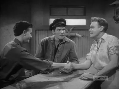 Killer Shark (1950)