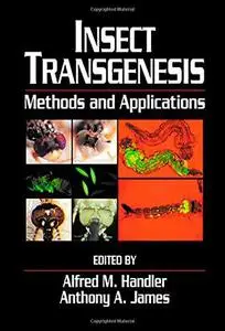 Insect transgenesis : methods and applications