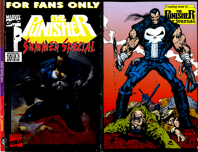 The Punisher (For Fans Only)