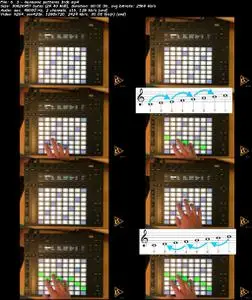 Harmony and Chords 1 for Ableton & Push