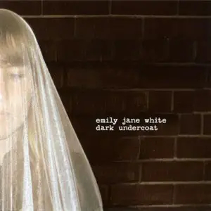 Emily Jane White - Dark Undercoat (2007)