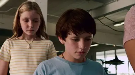 Dolphin Tale / Mein Freund der Delfin (2011)