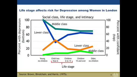 Coursera - Major Depression in the Population A Public Health Approach