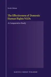 The Effectiveness of Domestic Human Rights Ngos: A Comparative Study(Repost)