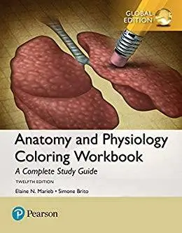 Anatomy And Physiologymr. Mac