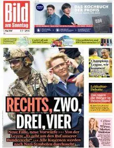 Bild am Sonntag - 7 Mai 2017