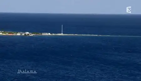 (Fr3) Thalassa du 14-01-2011 : Pôle Nord, Polynésie Française, Taïwan (2011)