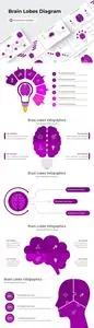 Brain Lobes Diagram PowerPoint Template