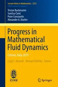 Progress in Mathematical Fluid Dynamics: Cetraro, Italy 2019
