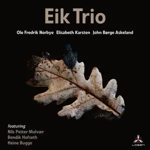 Eik Trio - Trust (2023) [Official Digital Download 24/96]