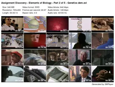 Assignment Discovery - Elements of Biology - Genetics
