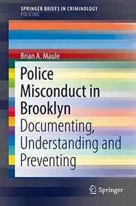 Police Misconduct in Brooklyn: Documenting, Understanding and Preventing (SpringerBriefs in Criminology)