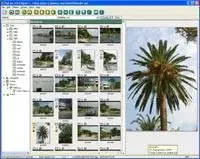 BR Software PixFiler v5.0.10
