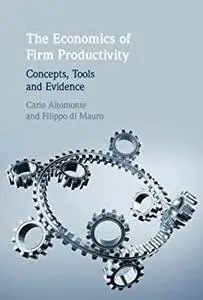 The Economics of Firm Productivity: Concepts, Tools and Evidence